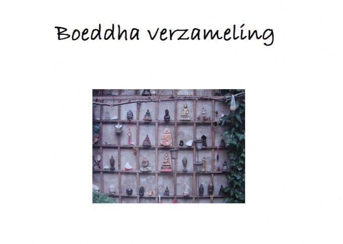 verzameling buddha
