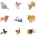 bouwplaat hond en kat