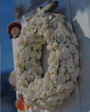 Schelpen zoeken en thuis knutselen