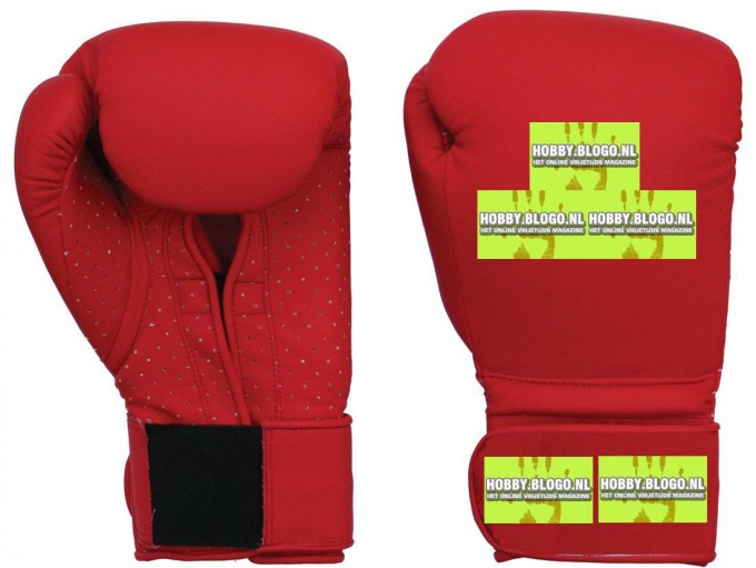 bokshandschoen