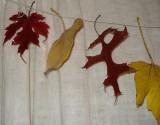 hoe herfstslinger maken