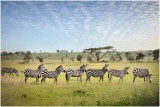 Fotocursus en vrijwilligerswerk Zuid-Afrikaans wildpark