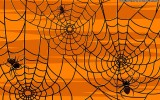 BRON: wallpaperslibrary.com