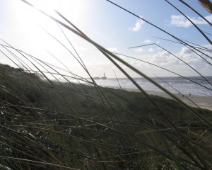 stadswandeling den haag en strandwandeling scheveningen