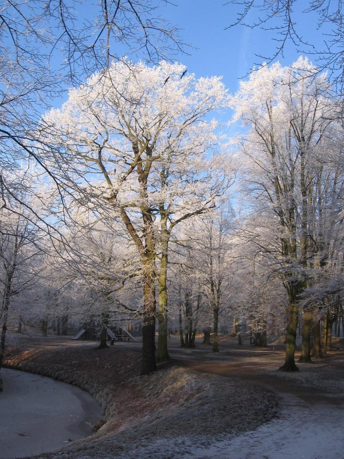 Clingendael winter 231207 002