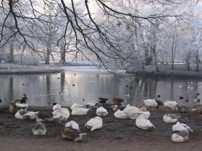Clingendael winter 231207 003