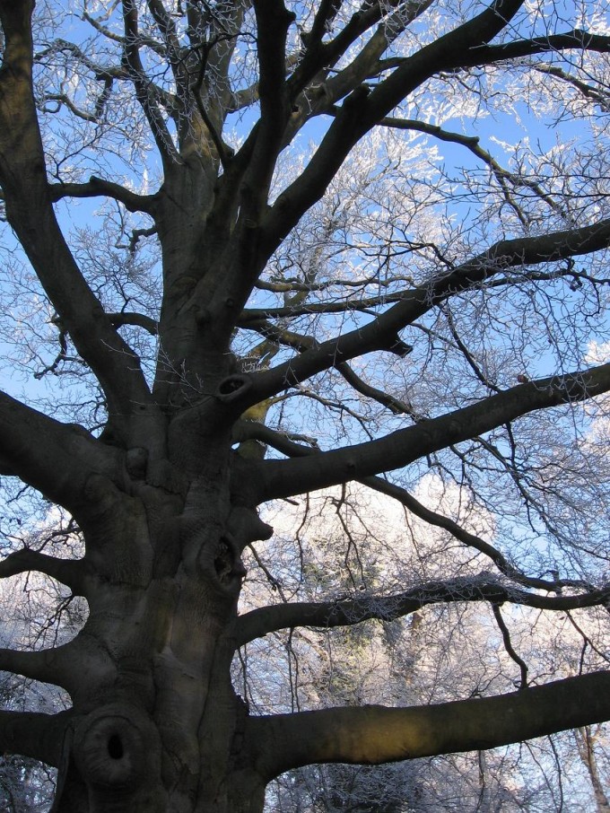 Clingendael winter 231207 005