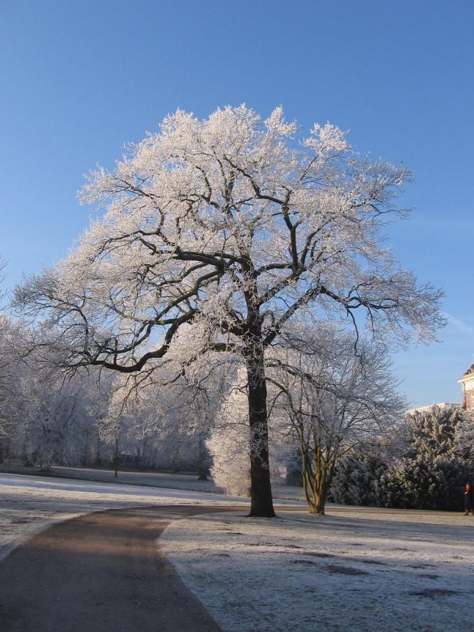 Clingendael winter 231207 006
