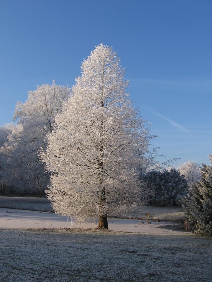 Clingendael winter 231207 008