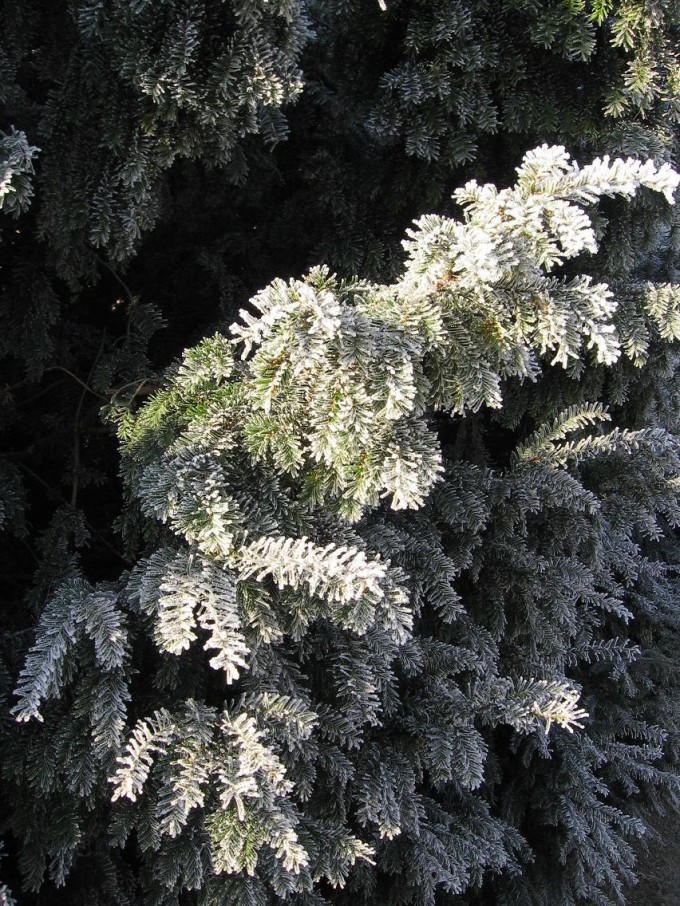 Clingendael winter 231207 010