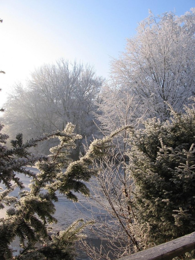 Clingendael winter 231207 012