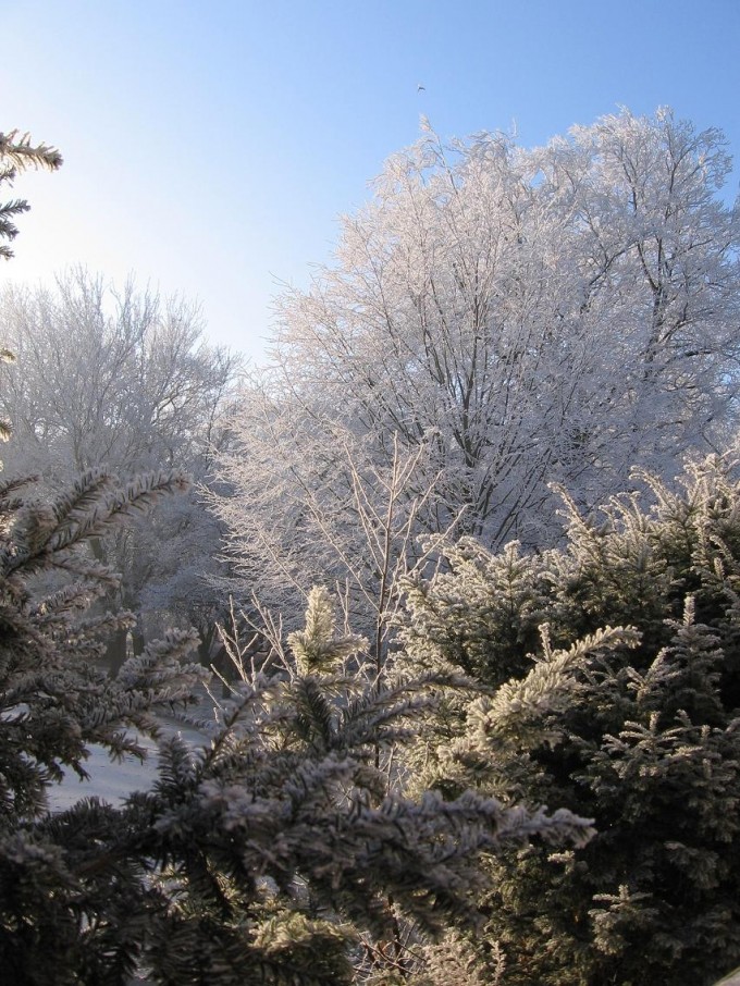 Clingendael winter 231207 014