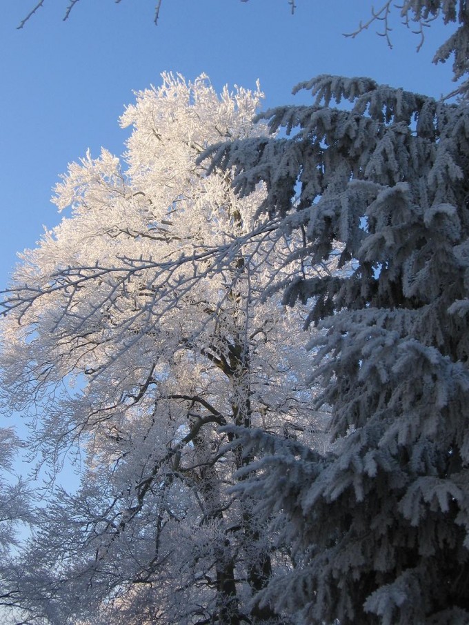 Clingendael winter 231207 016