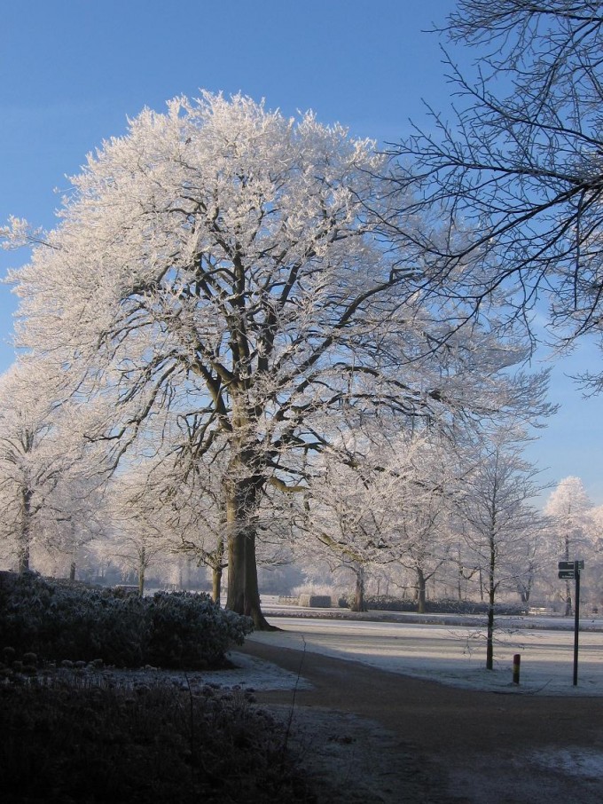 Clingendael winter 231207 017