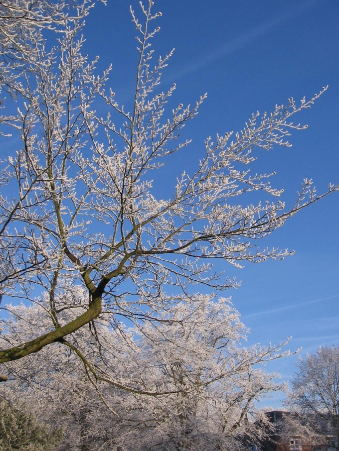 Clingendael winter 231207 018