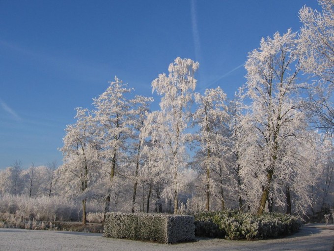 Clingendael winter 231207 019