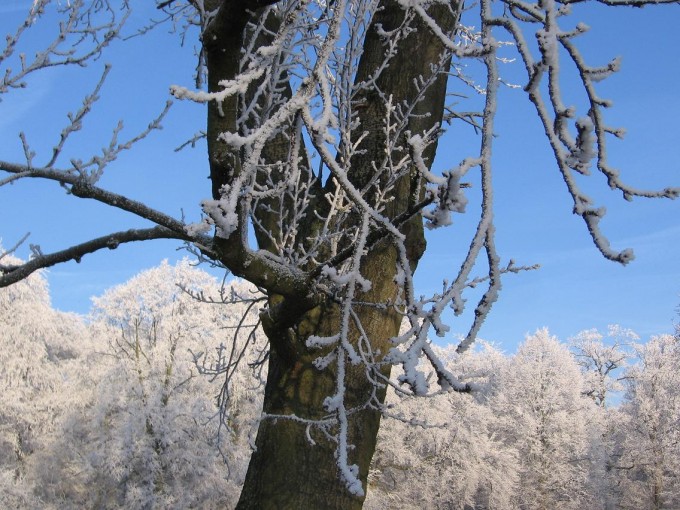 Clingendael winter 231207 021