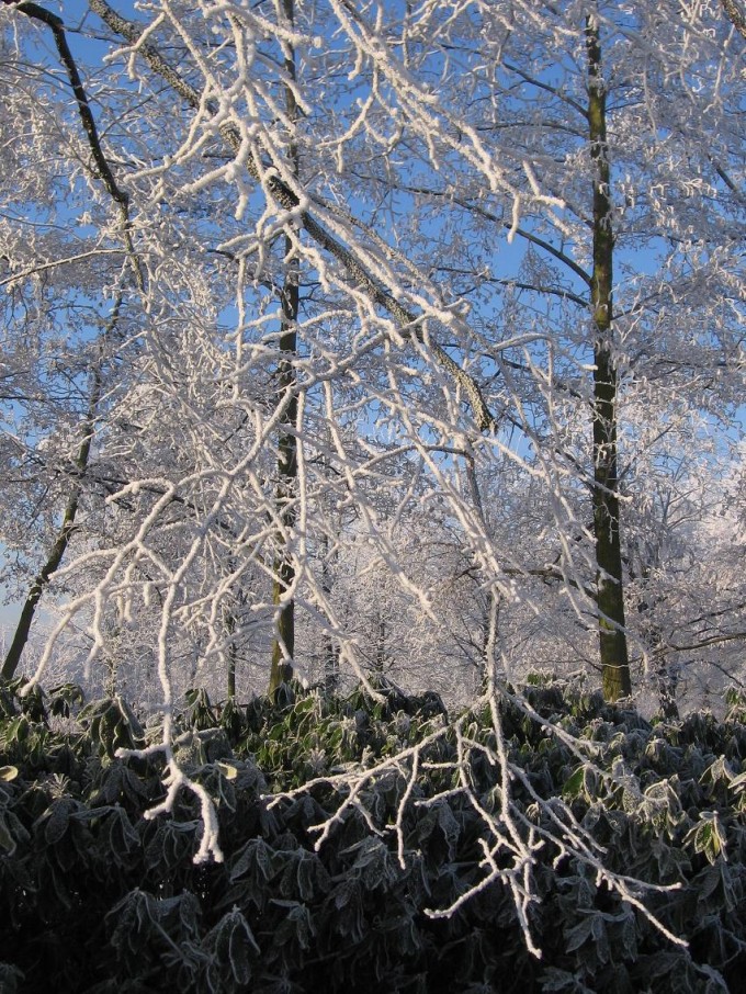 Clingendael winter 231207 022