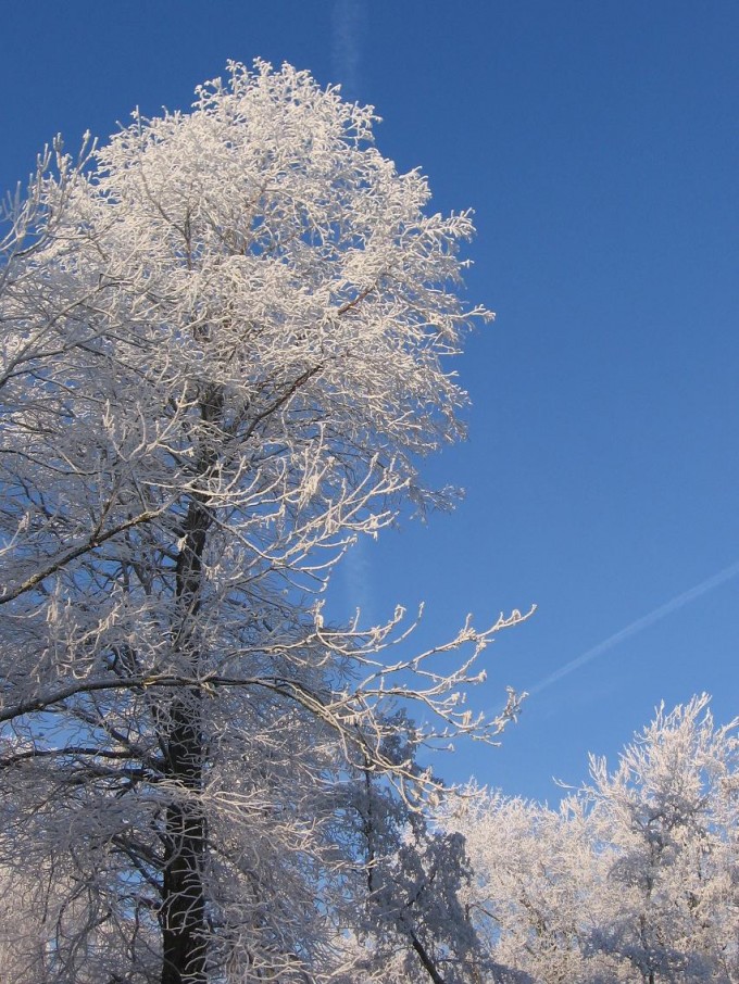 Clingendael winter 231207 023