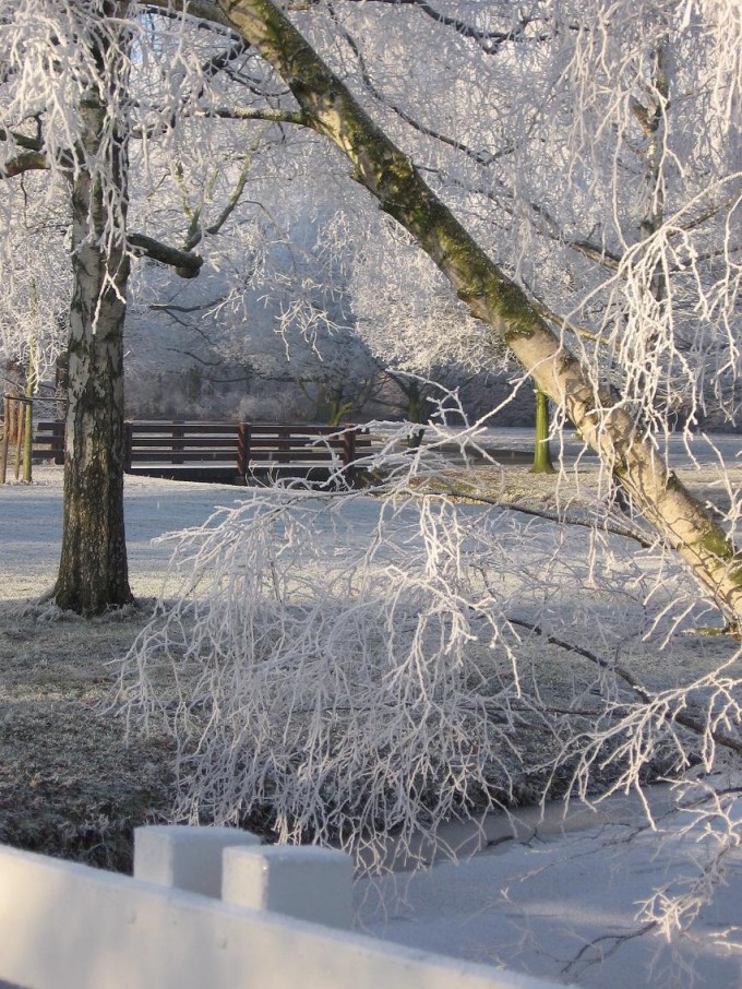 Clingendael winter 231207 025
