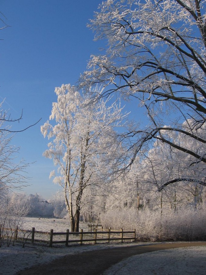 Clingendael winter 231207 027