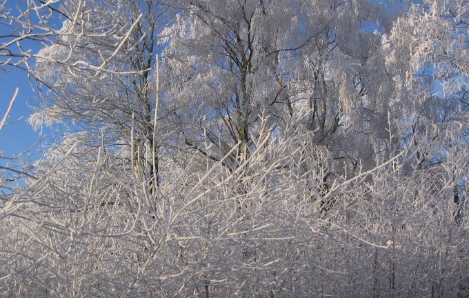 Clingendael winter 231207 028