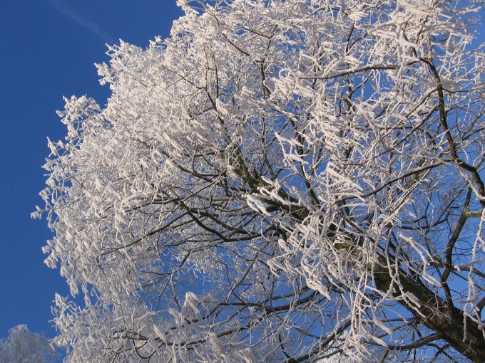 Clingendael winter 231207 030