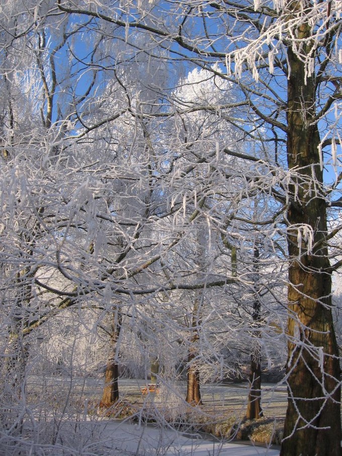Clingendael winter 231207 031