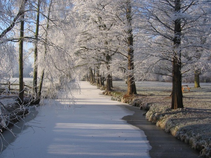 Clingendael winter 231207 032