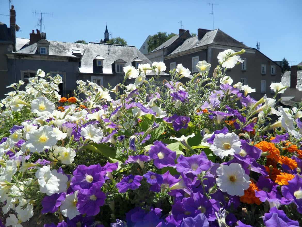 SAM_0602 ville de fleurie in Frankrijk