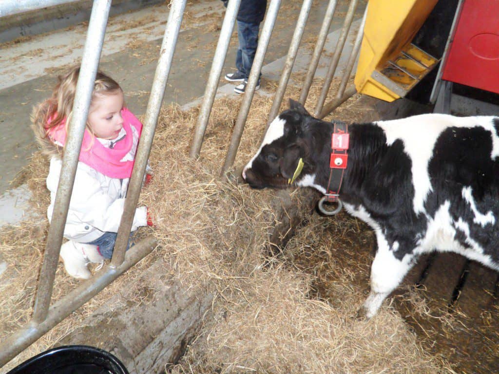 Boeren feestje organiseren met tips