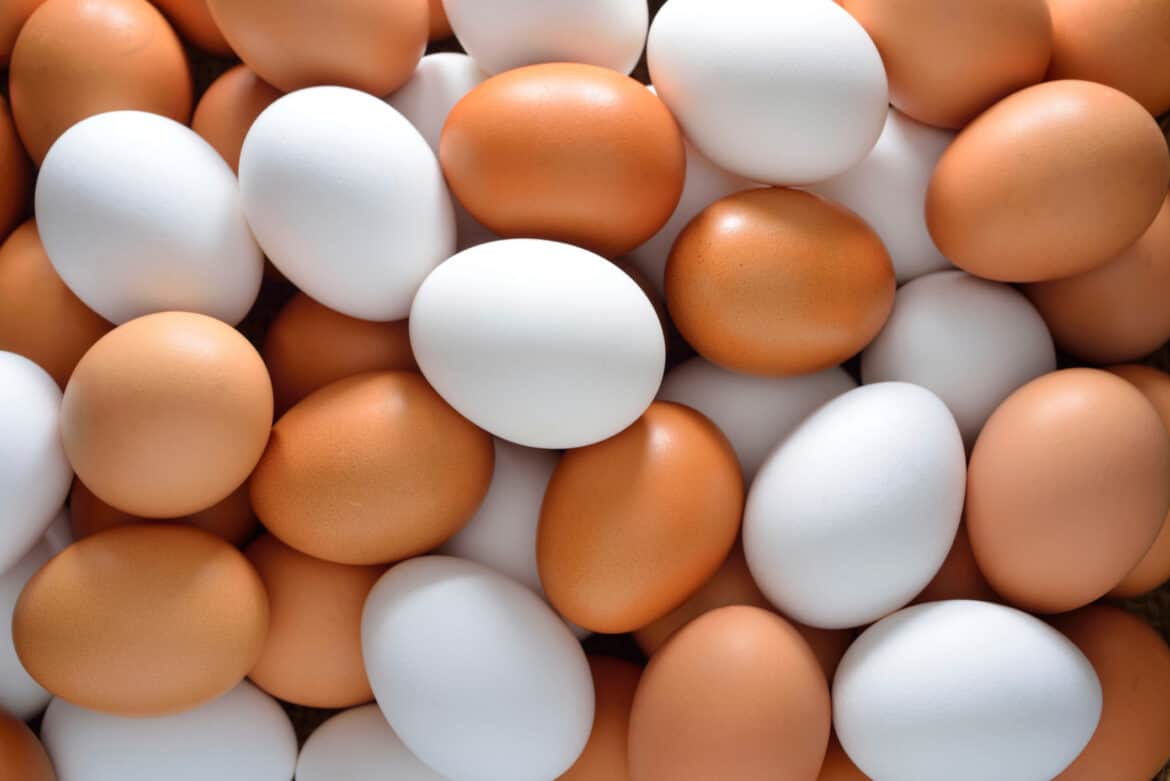spelletjes met eieren