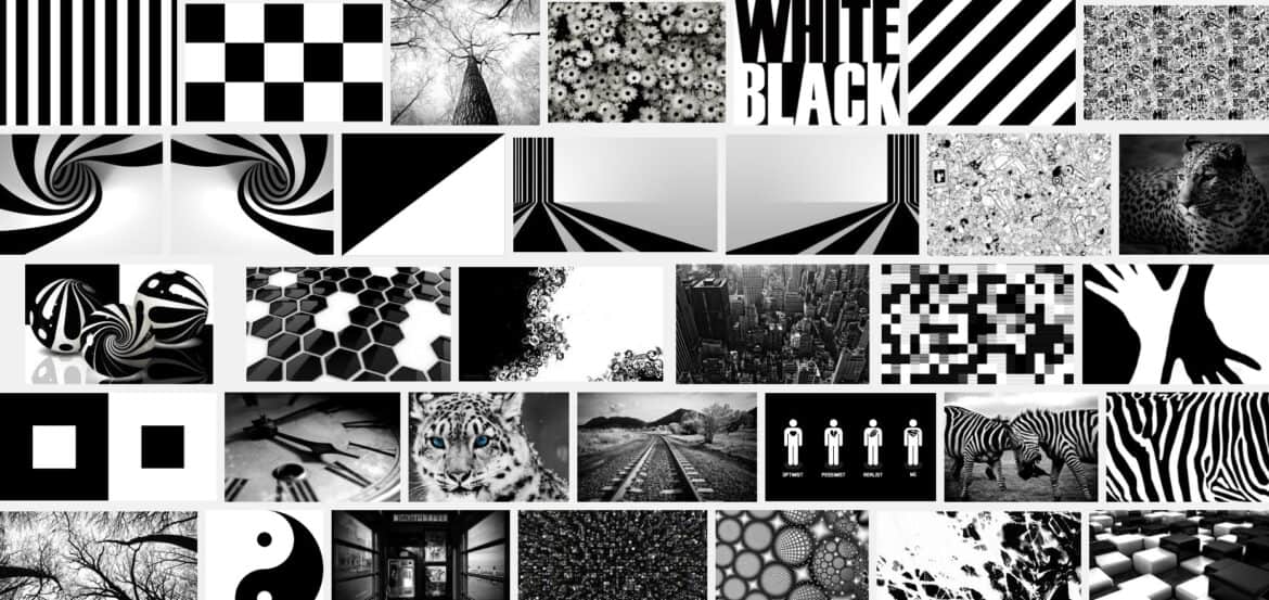 zwart wit decoratie